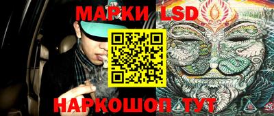прущие грибы Будённовск