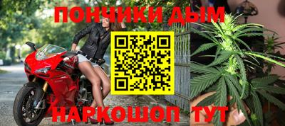 прущие грибы Будённовск