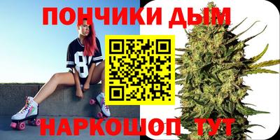 прущие грибы Будённовск