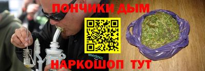 прущие грибы Будённовск