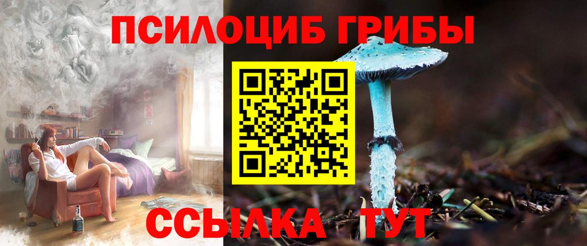 Псилоцибиновые грибы Cubensis Скопин