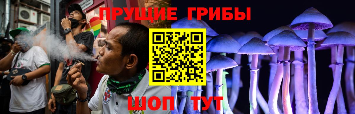 Псилоцибиновые грибы ЛСД  Вход с VPN  Скопин 